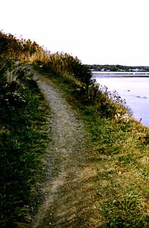 Newport's Cliff Walk Coast