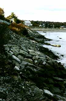 Newport's Cliff Walk Coast